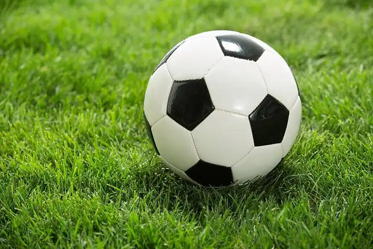 理性购彩倡导者