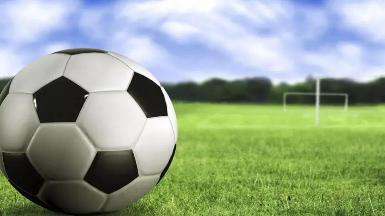 新手入门学习平台